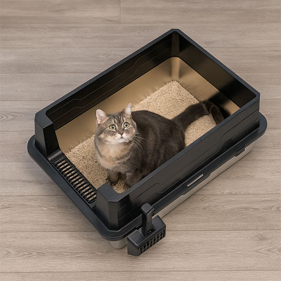 Bac litiere chat - Extra Large En Acier Inoxydable