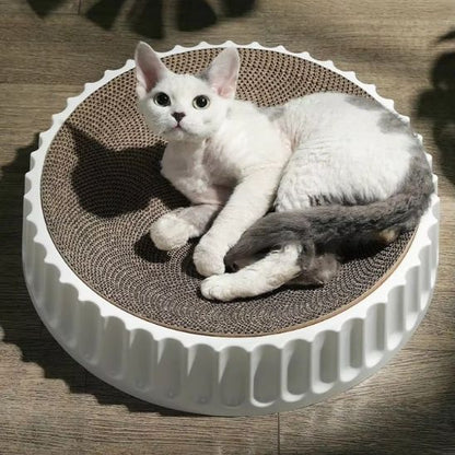 Un chat blanc installé sur un griffoir rond en carton