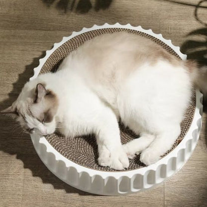 Un chat blanc qui dort sur un griffoir rond en carton