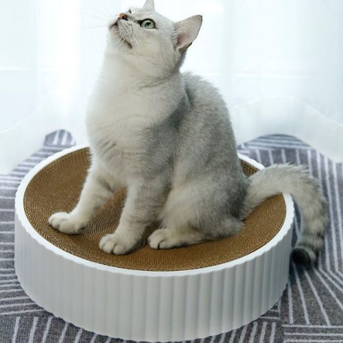 Griffoir rond chat - En carton remplaçable
