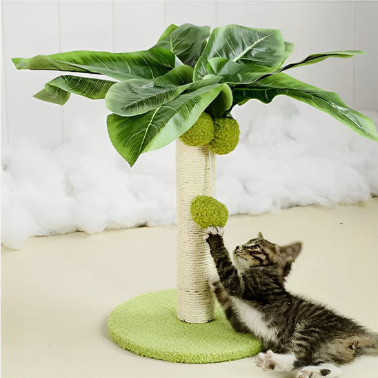 griffoir-pour-chat-design-_palmier