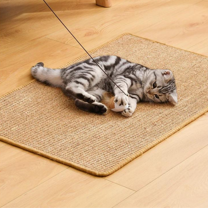 griffoir-pour-chat-durable