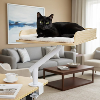 Hamac chat bureau pince sans perçage installation coussin amovible