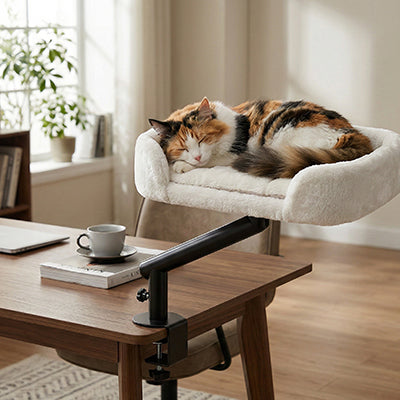 Hamac chat bureau rotatif 360° fixé à un bureau en bis