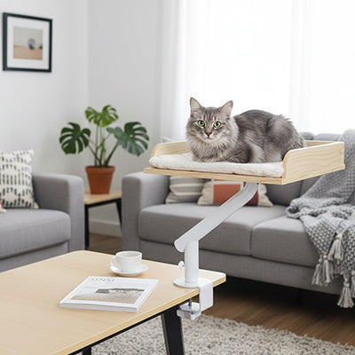 Hamac chat bureau rotatif 360° fixation pince  avec chat gris endormi table bois