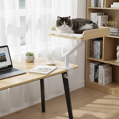 Perchoir hamac chat bureau fixation pince chat installé
