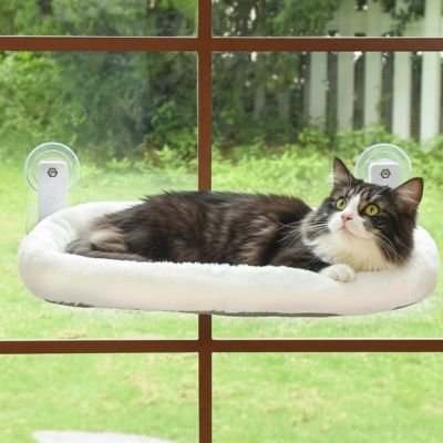 Hamac chat fenetre