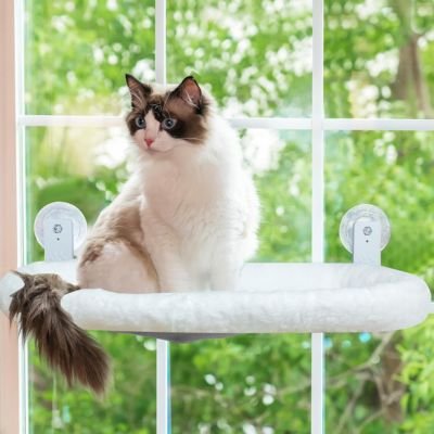Hamac chat fenetre