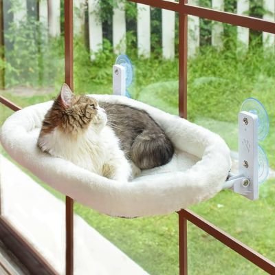 Hamac chat fenetre