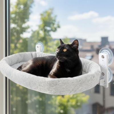 Hamac chat fenetre