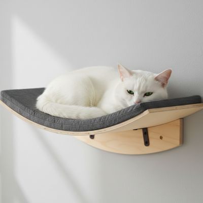 hamac chat perché au mur en bois avec chat blanc installé