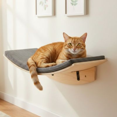 Hamac chat mural en bois naturel avec coussin gris et chat roux allongé