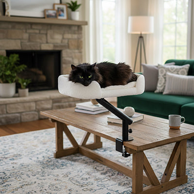 Hamac chat pince table basse avec chat noir allongé, ambiance salon cheminée