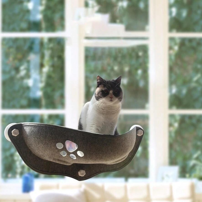 un chat dans un hamac pour chat gris, fixé à une fenêtre