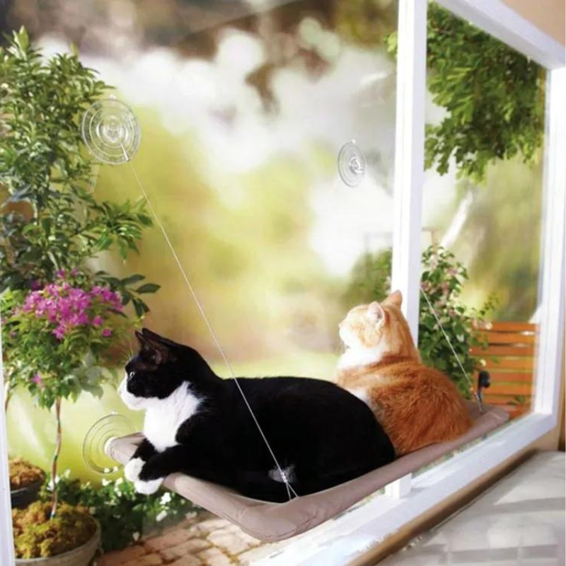 Deux chats sur un hamac pour chats et qui regardent par la fenêtre