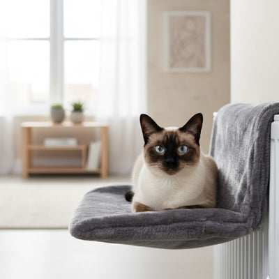 Hamac de radiateur pour chat - WarmPaws