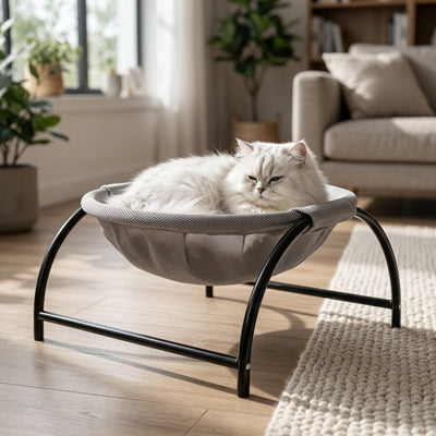 Hamac pour chat avec support et chat installé confortablement