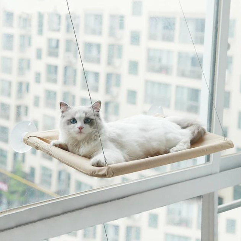 Chat blanc allongé sur un hamac pour chat