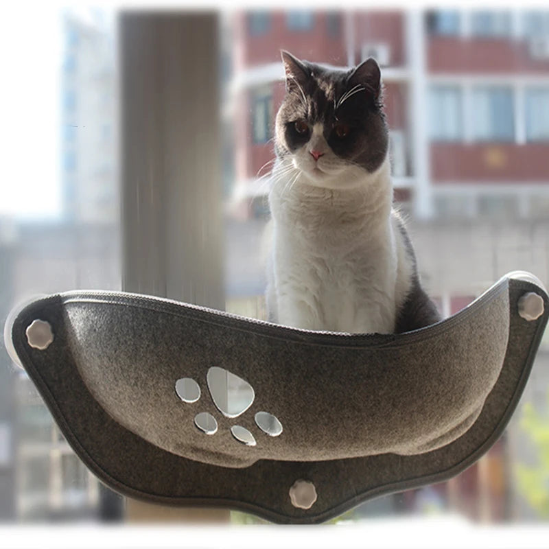 un chat dans un hamac pour chat gris, fixé à une fenêtre