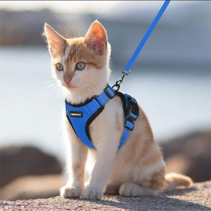 harnais-chat-anti-fugue