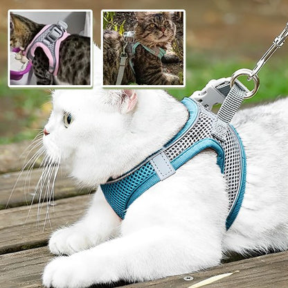 harnais-chat-en-maille