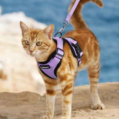 harnais-chat-en-nylon