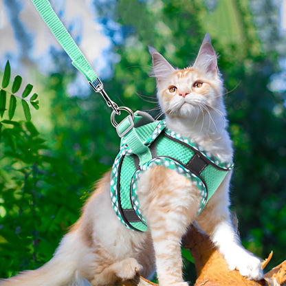 Harnais Chat | Respirant SecuriNuit