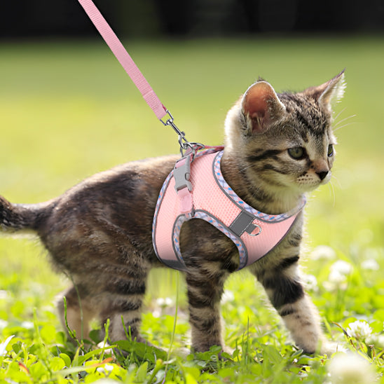 Harnais Chat | Respirant SecuriNuit