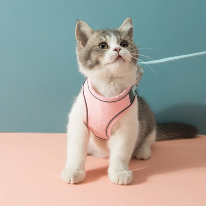 harnais pour chat