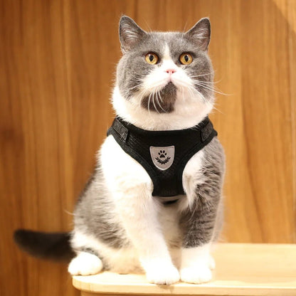 Harnais pour chat anti-fugue - Respirant