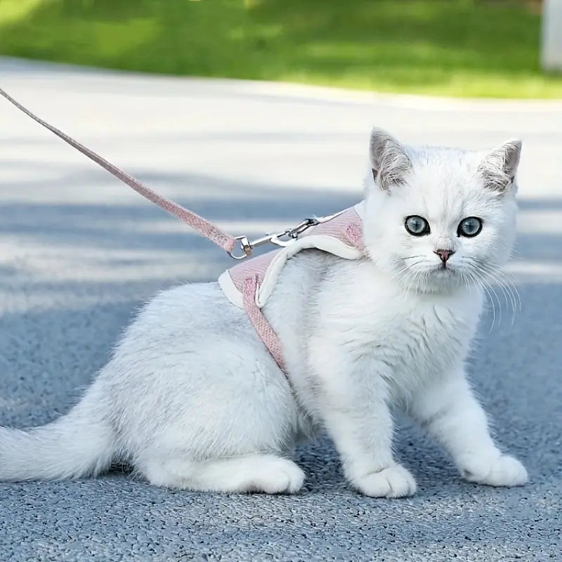 harnais-pour-chat-anti-fugue