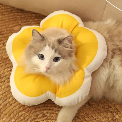 Collerette chat - Design Fleur