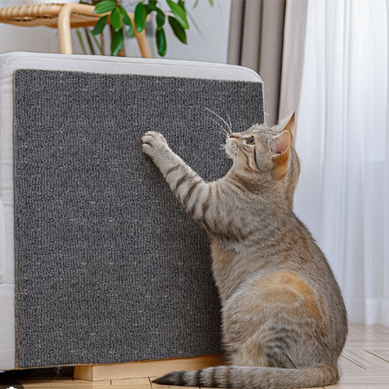 Griffoir pour chat - Autocollant