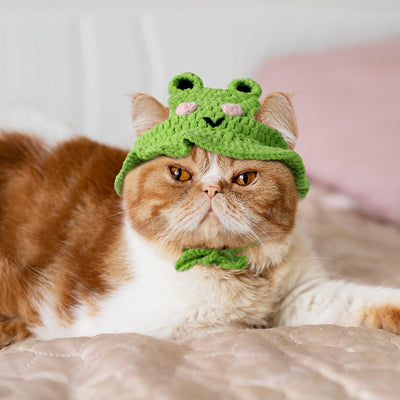 Déguisement pour chat - Bonnet en tricot