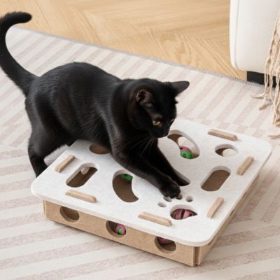 Jouet interactif pour chat - Puzzle Stimulant