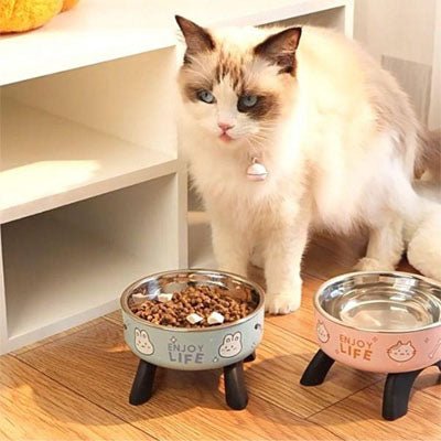 Gamelle chat | Surélevée Confort