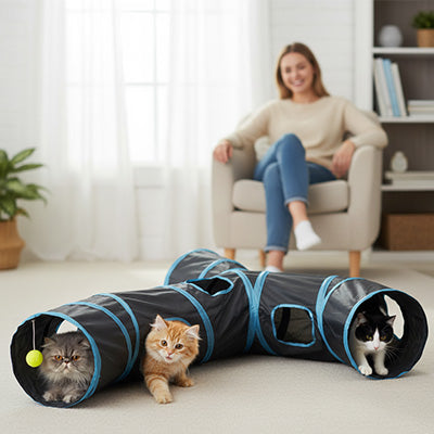 Tunnel pour chat – Multivoies