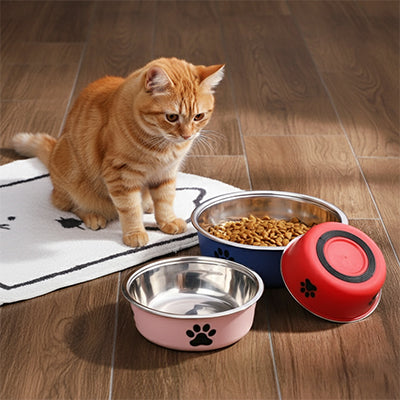 Gamelle inox antidérapante pour chat | Comfort Plus