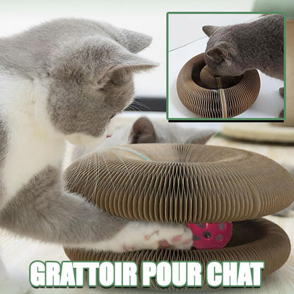 Grattoir pour chat