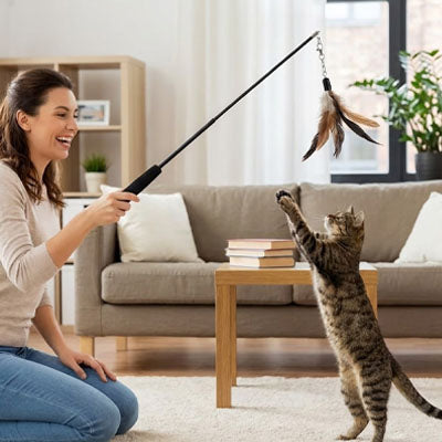 Jouet pour chat - Baguette Extensible