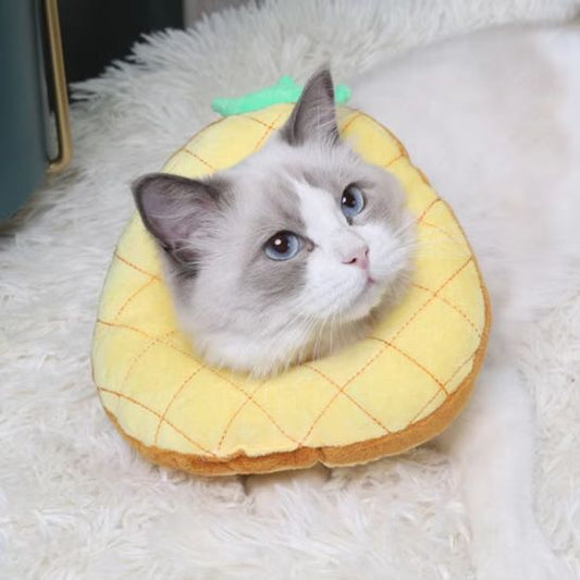 Collerette chat - Anti morsure