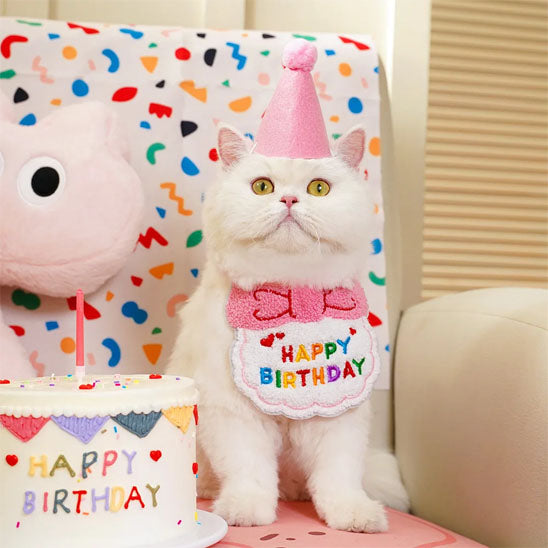 Déguisement pour Chat kit anniversaire avec motif festif coloré.
