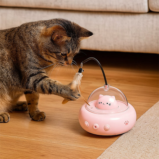 Jouet pour Chat - Secoupe interactive