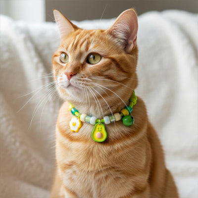 Collier Chat - Tressé coloré