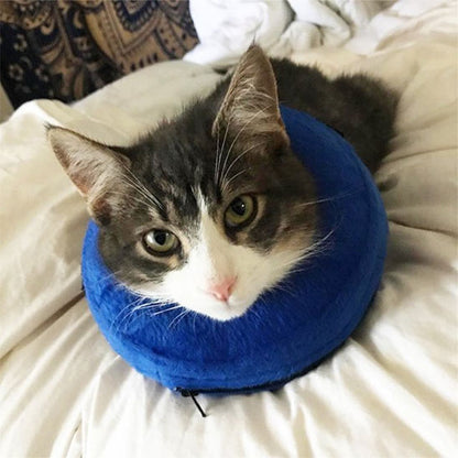 Collerette Chat - Gonflable