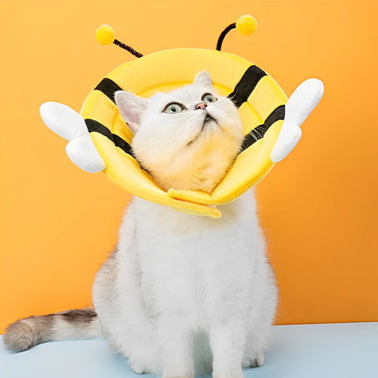 Collerette chat - Design Abeille