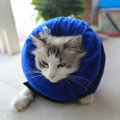 Collerette Chat - Gonflable