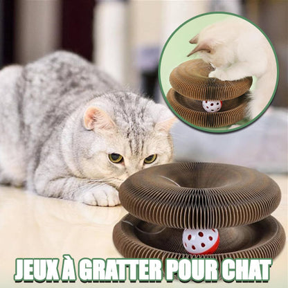 jeux à gratter pour chat