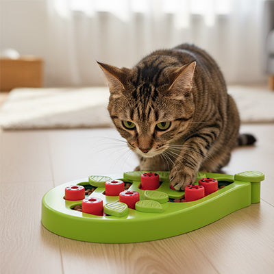 Jouet chat | Puzzle Gourmand Interactif