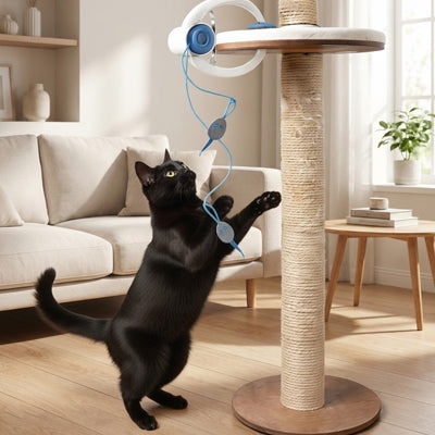 Jouet chat interactif - Attrape Souris